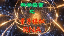 量子合成模拟在RNA分子研究中的应用