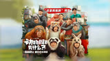 《动物园里有什么？》这是真熊啊版预告包贝尔宋晓峰被徐志胜套路