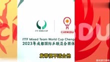 今晚!CCTV5直播-乒乓球世界杯_冠军争霸赛：中国VS韩国（附赛程）