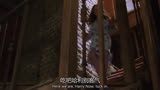 哈利你媳妇来了