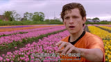 注定还要被骗