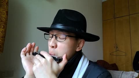 上海滩 口琴 6621 c