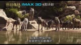 奇幻森林 中文IMAX版预告片