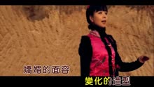王二妮-大辫子MTV