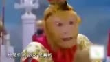 《西游记》独家花絮：六小龄童演绎真假美猴王，自己对打