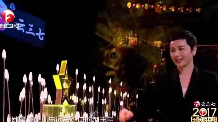 2017国剧盛典 年度杰出剧星 蒋雯丽