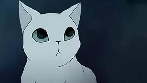 国产动画短片《八尾猫 》