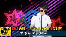 [图]经典歌曲《小小新娘花》DJ版, 好听分享!