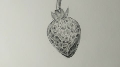 精微素描草莓图片