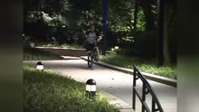 The Rabble BMX