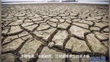 81天创纪录无雨,江西、安徽严重旱情还将持续