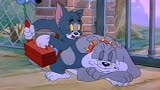 猫和老鼠:自作聪明的笨猫，汤姆猫戏耍狗子！