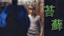 韩国犯罪片《苔藓》，儿子返乡奔丧，牵出一段沉寂已久的肮脏往事
