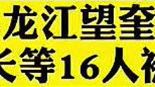 黑龙江望奎县16人因防疫不力被问责！