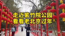 走近紫竹院看老北京过年大年，大红灯笼高高挂热热闹闹过大年