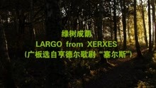 亨德尔 Handel 《绿树成荫》 广版 LARGO from XERXES