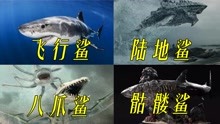 盘点电影中的四个鲨鱼！你觉得哪个更厉害？八爪鲨可以打败翼龙