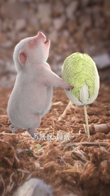 猪拱白菜搞笑图图片