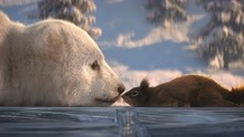 Dancing on Ice 2019- Bear and Squirrel