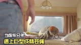 废柴兄弟遇到成精苍蝇，将台下观众笑得人仰马翻，荒诞喜剧解说
