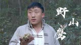 野山鹰：为摆脱敌人的追击，男子故布疑阵，此招会奏效吗