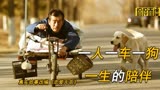 真实故事改编||中国版《忠犬八公》一只狗一生的陪伴《忠爱无言》