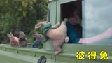 奇幻电影《彼得兔》：一群呆萌的小兔兔，竟和人类上演速度与激情