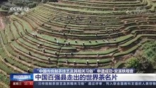 中国茶申遗成功·安溪铁观音 中国百强县走出的世界茶名片