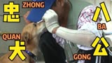 韩国版忠犬八公，狗狗守在火灾废墟里不愿离开，感动上千万网友