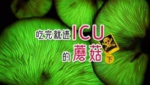 ICU蘑菇下集：除了大青褶伞，还有哪些蘑菇会导致严重肠胃炎？