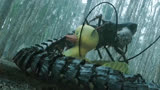 《爱与怪物》1：男人遭遇恐怖巨型蜈蚣袭击