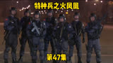 《特种兵之火凤凰》第47集。特种兵配合默契斩首成功
