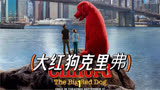 1.你见过这么大只的狗子吗大红狗克里弗