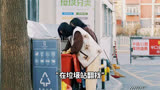剧名:摇滚狂花