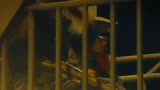 全体集合做战斗准备太染了#建军大业#超燃混剪#