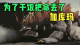 用文言文打开《迪迦奥特曼》中的怪兽，倒霉的干饭人加库玛