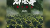 #陈凯歌电影志愿军海报细节 向死而生，好伟大的意境！#陈凯歌