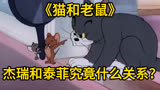 《猫和老鼠》：杰瑞和泰菲究竟什么关系？