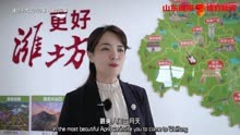 导演胡伟｜潍坊风筝：文化符号背后的传承与创新