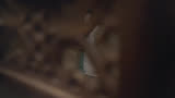 这不是白宝山吗，