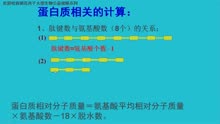 [图]朝花西子 高中生物 蛋白质相关计算上