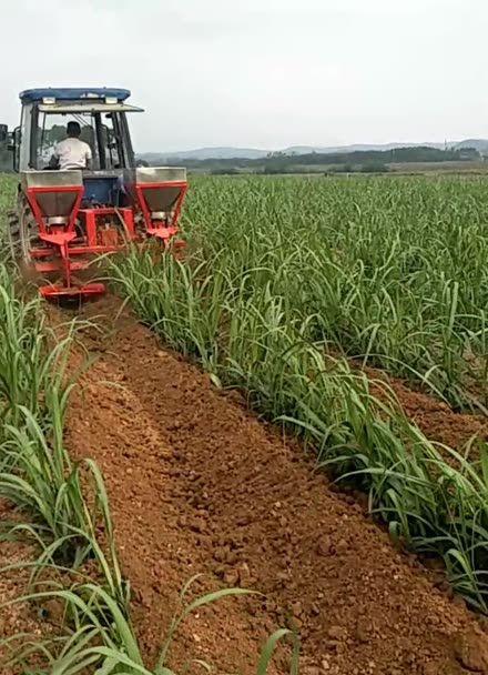 南宁甘蔗施肥培土机设备