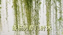 [图]【宋词三百首】《木兰花城上风光莺语乱》 田惟演 视频朗诵