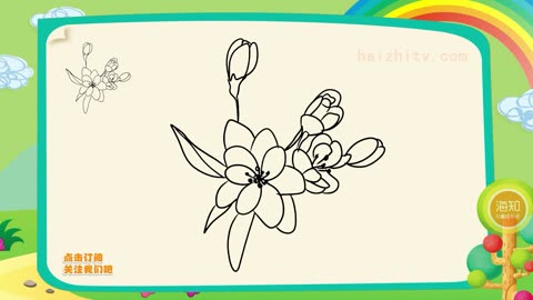 简笔画植物花卉教程,如何画海棠,海知儿童简笔画大全