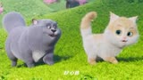 动画片《猫与桃花源》插曲《无人知晓》, 许嵩演唱