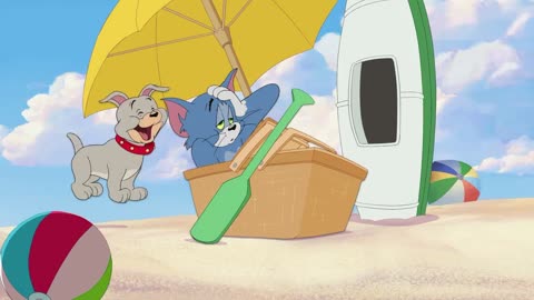 猫和老鼠:猫和老鼠在沙滩又斗起来了