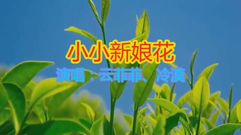 倾情献唱好听的歌曲《小小新娘花》伤感又好听