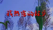 [图]歌曲《我热恋的故乡》田震演唱