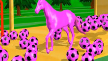 动物动画 奶牛公牛大猩猩马和大象被足球染上了不同的颜色