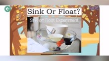 Science experiment “Sink or float”科学沉浮小实验